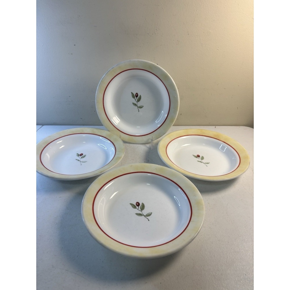 Corelle Ultra Radiance 15 Oz Pasta Bowls 9" Set Of‎ 4